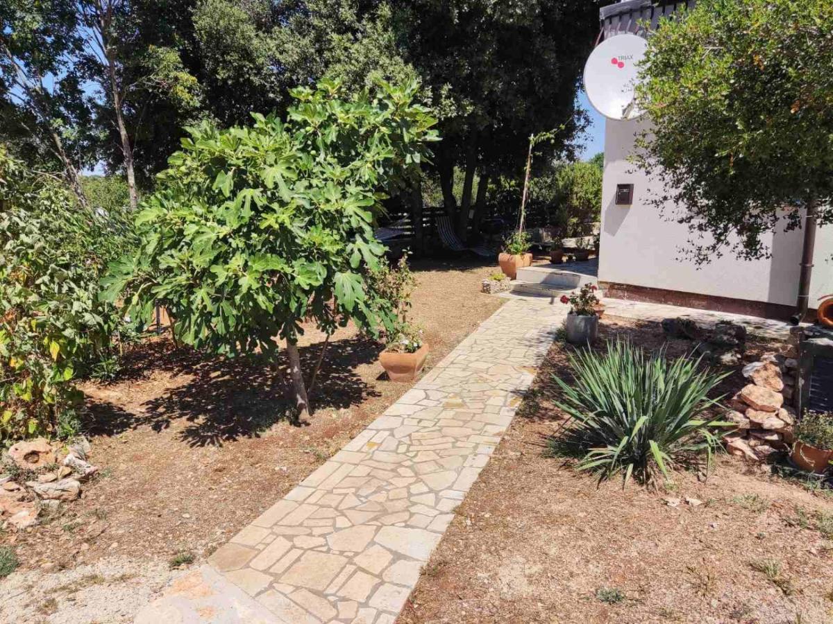 Viva 2 Rovinj Apartment Luaran gambar